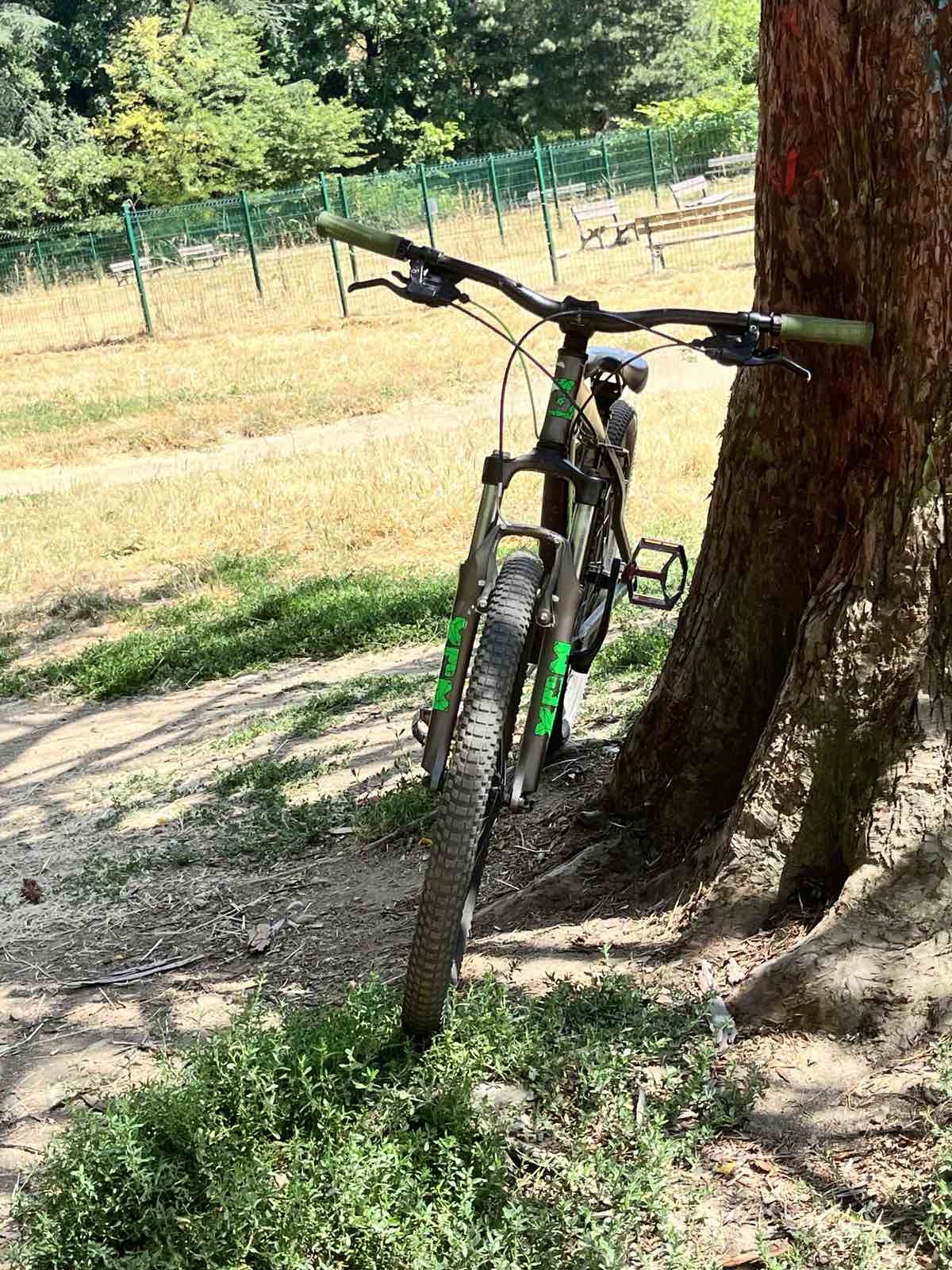 Bike view 2