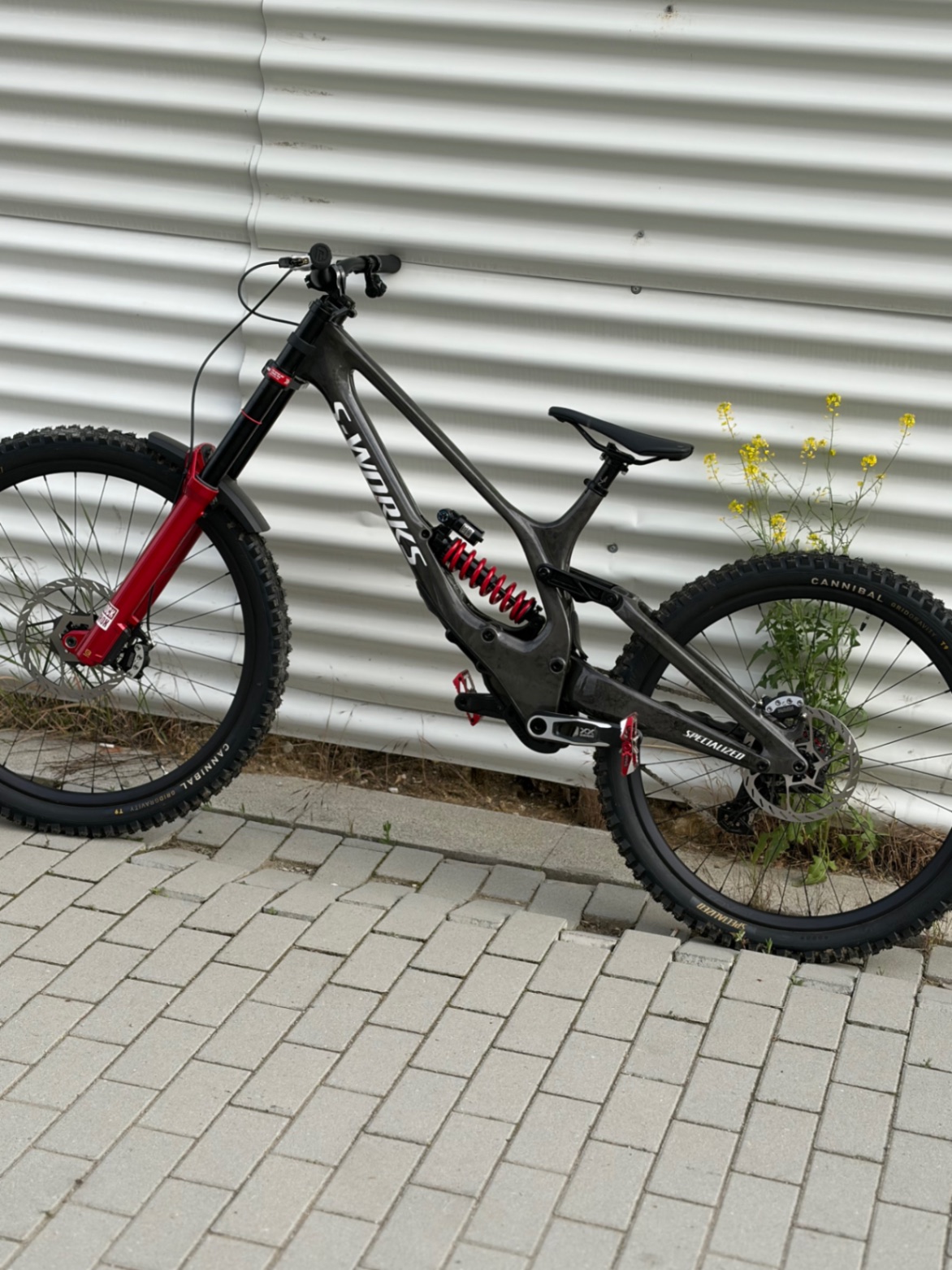 Specialized Demo 11