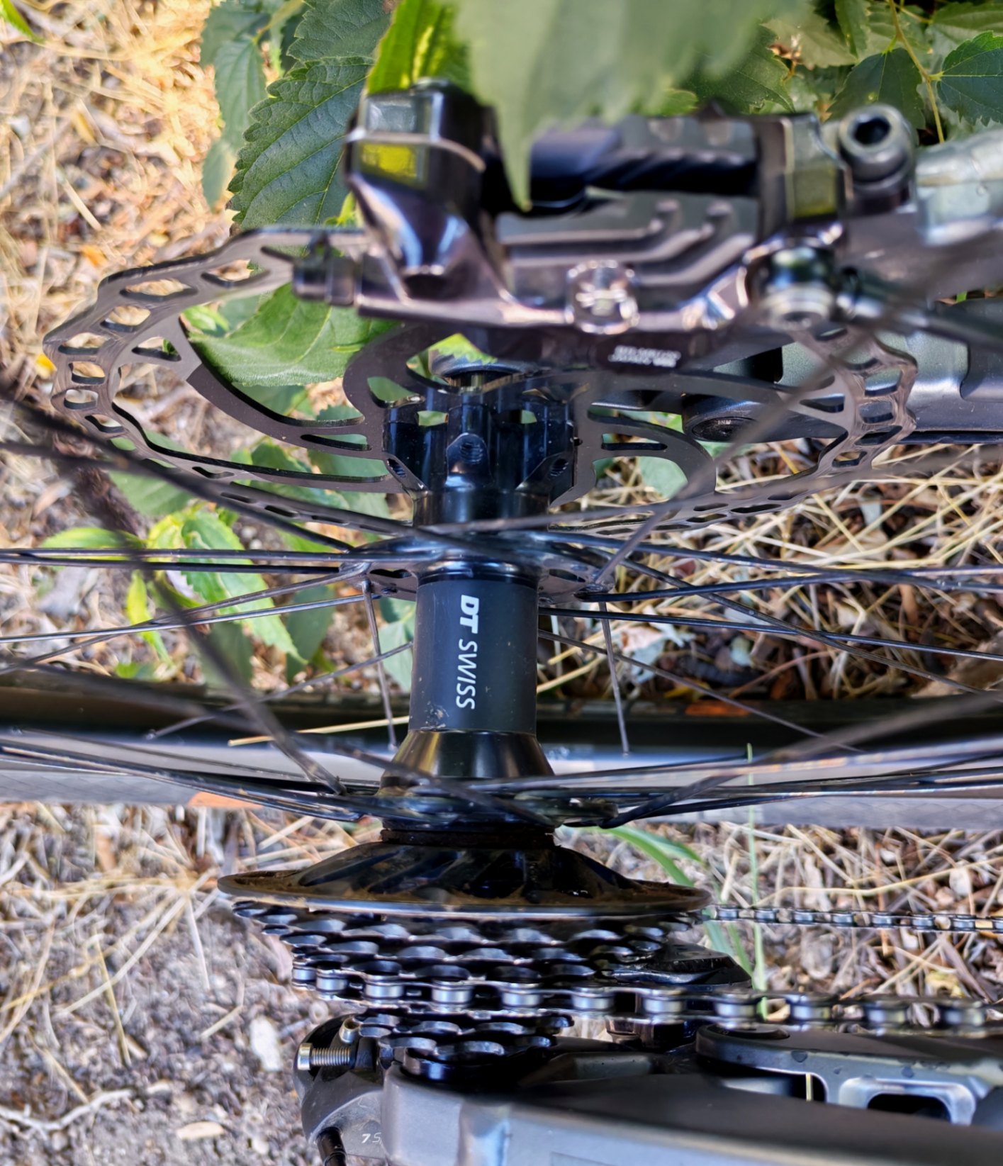 Bike view 9