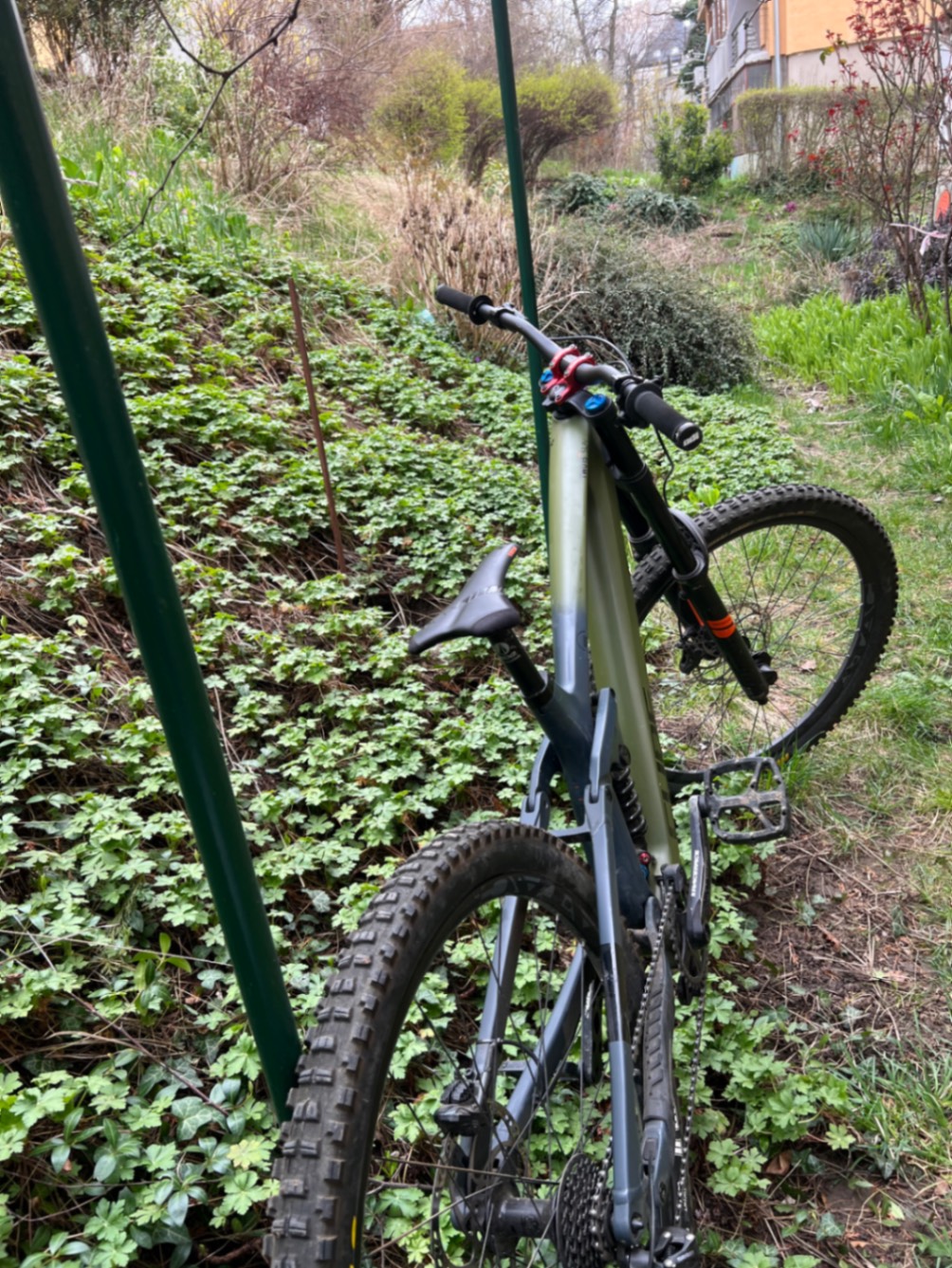 Bike view 6