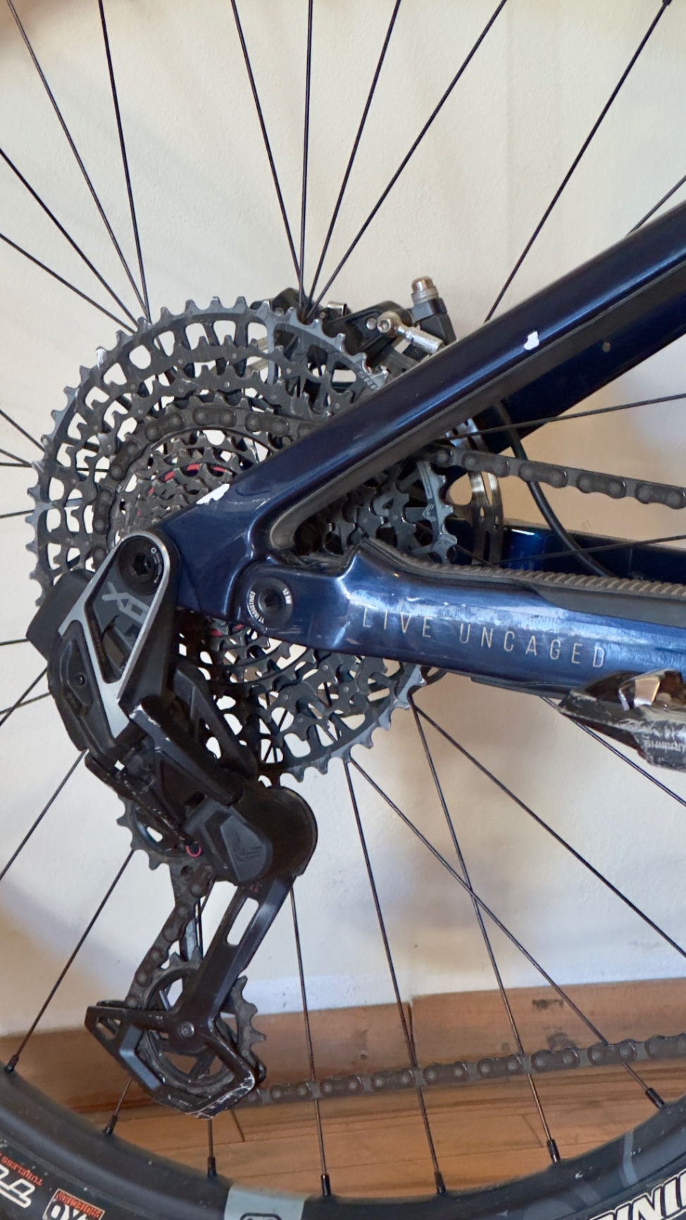 Bike view 5