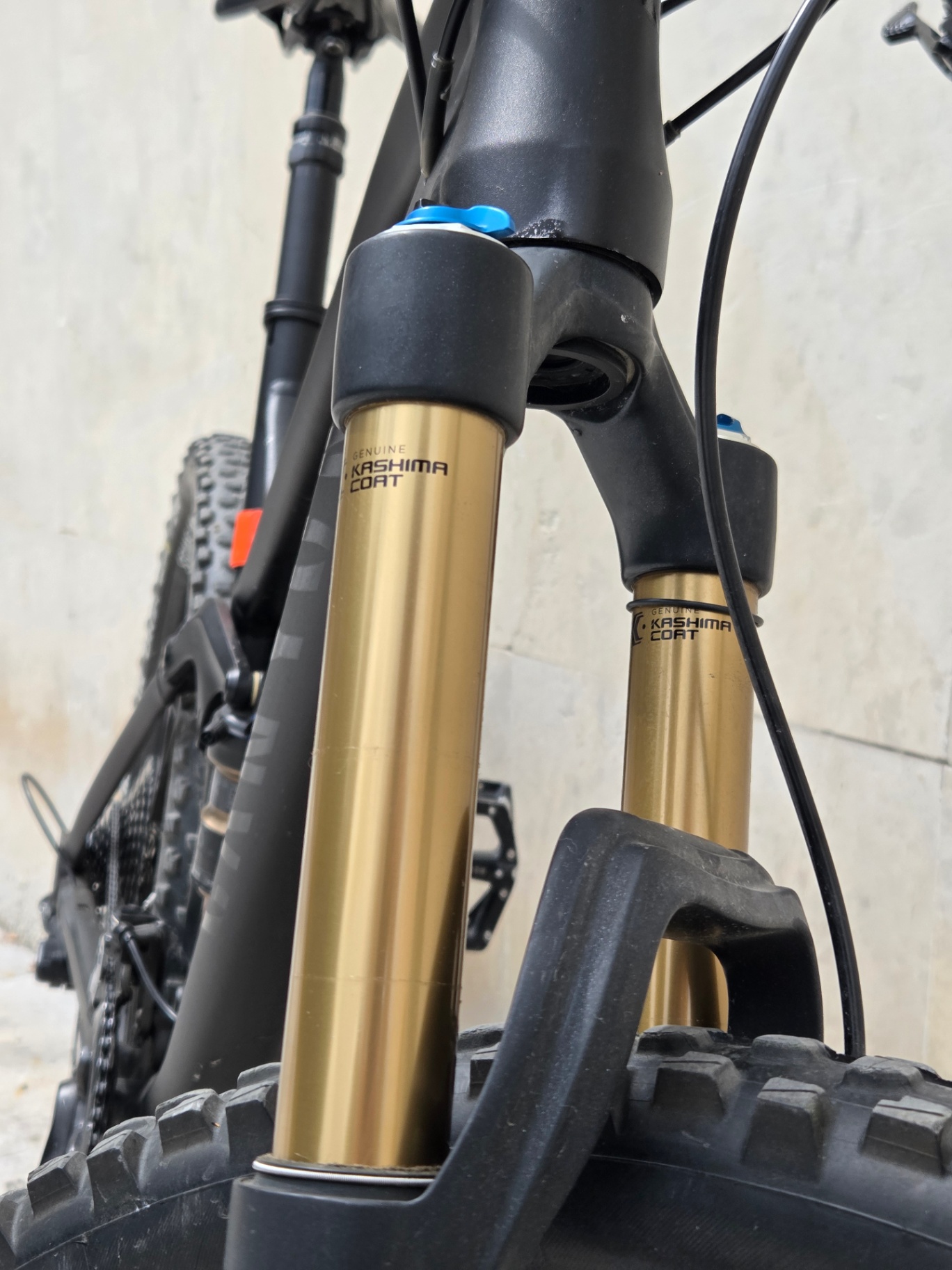 Bike view 4