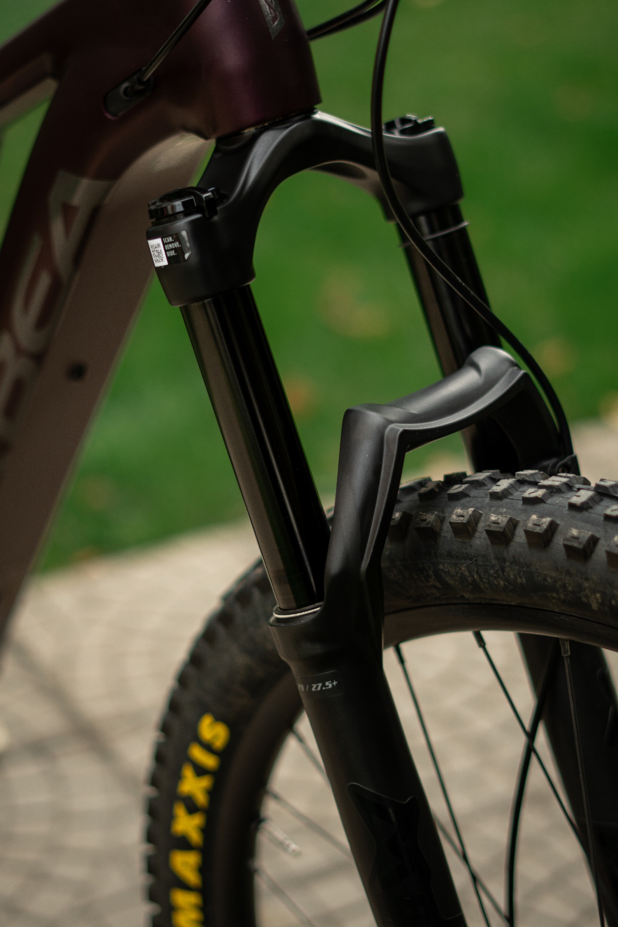 Bike view 10