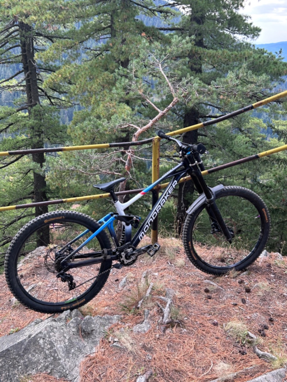 Bike view 4