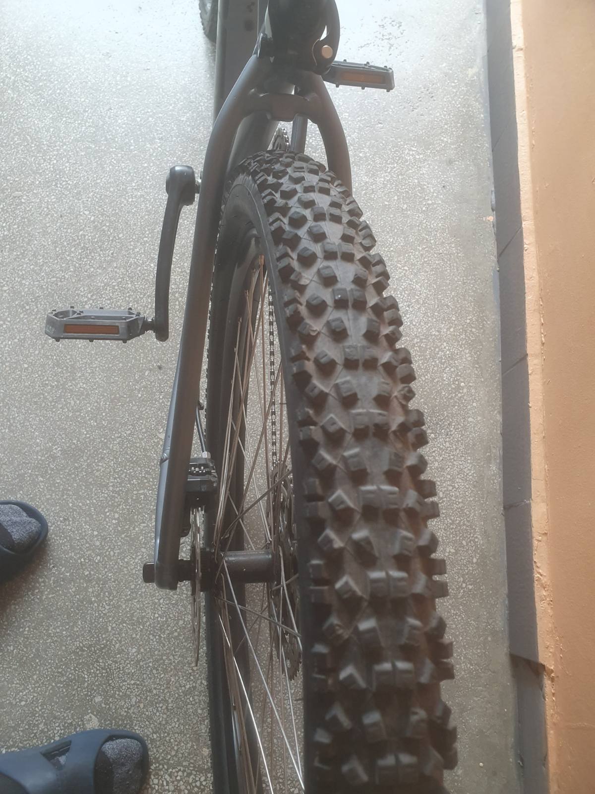 Bike view 6