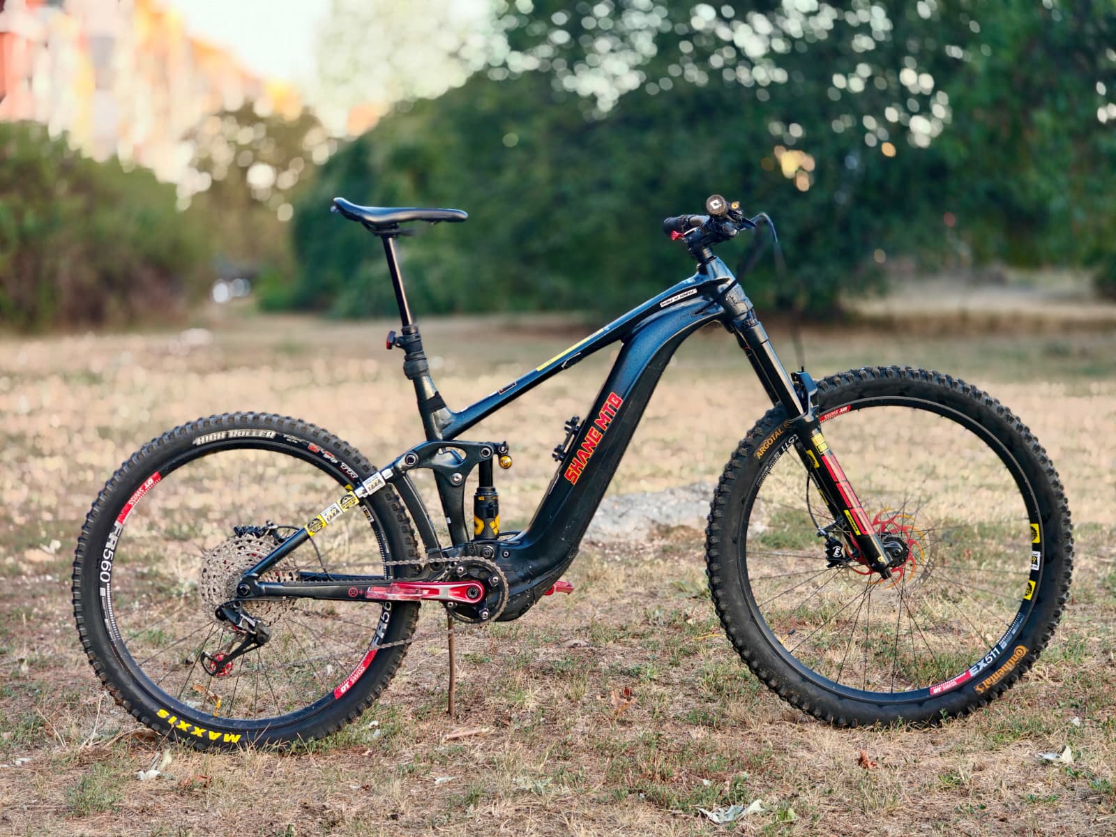Giant Reign E+ 2 Pro