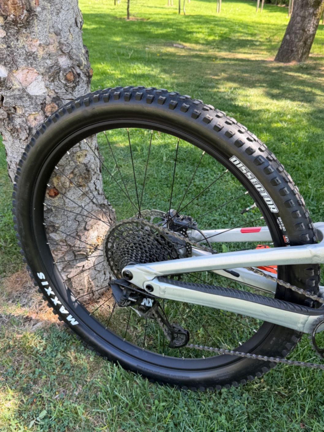Bike view 5