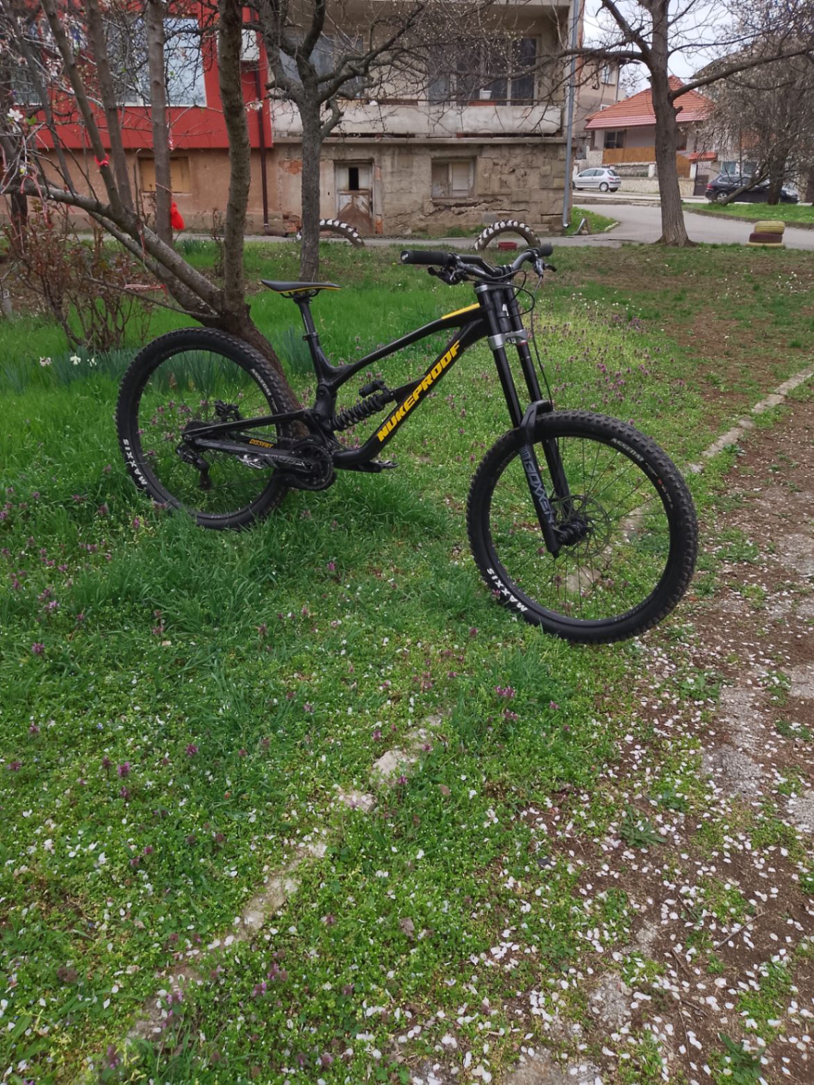 Bike view 5