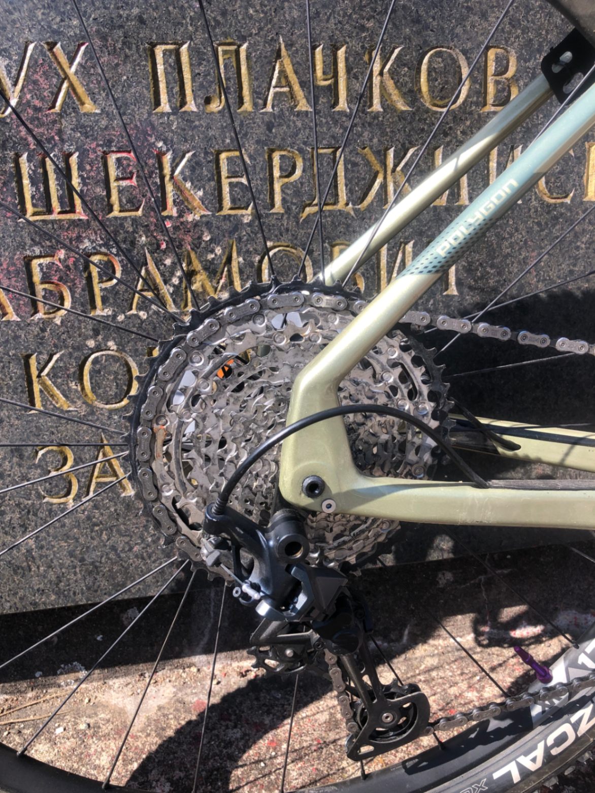 Bike view 7