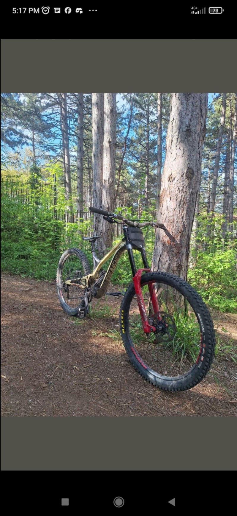 Bike view 5