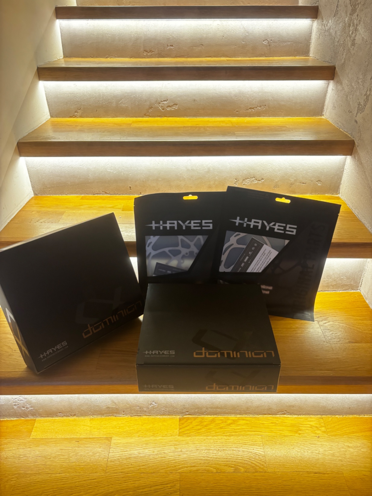 Hayes Dominion 