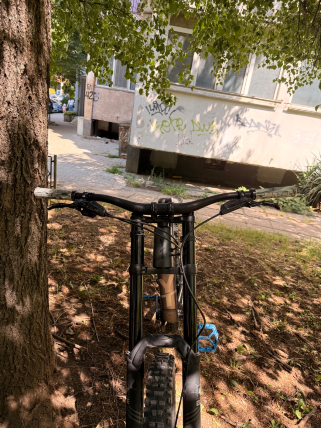 Bike view 9