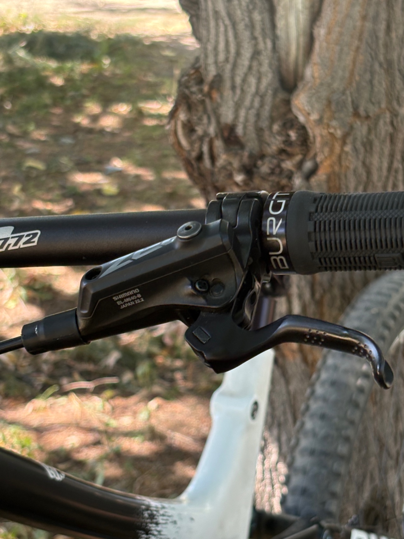 Bike view 10
