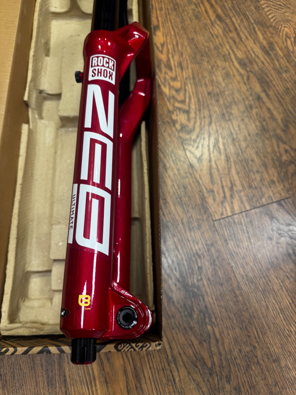 Rock Shox Zeb view 6