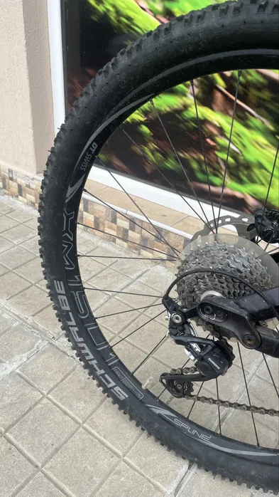 Bike view 10