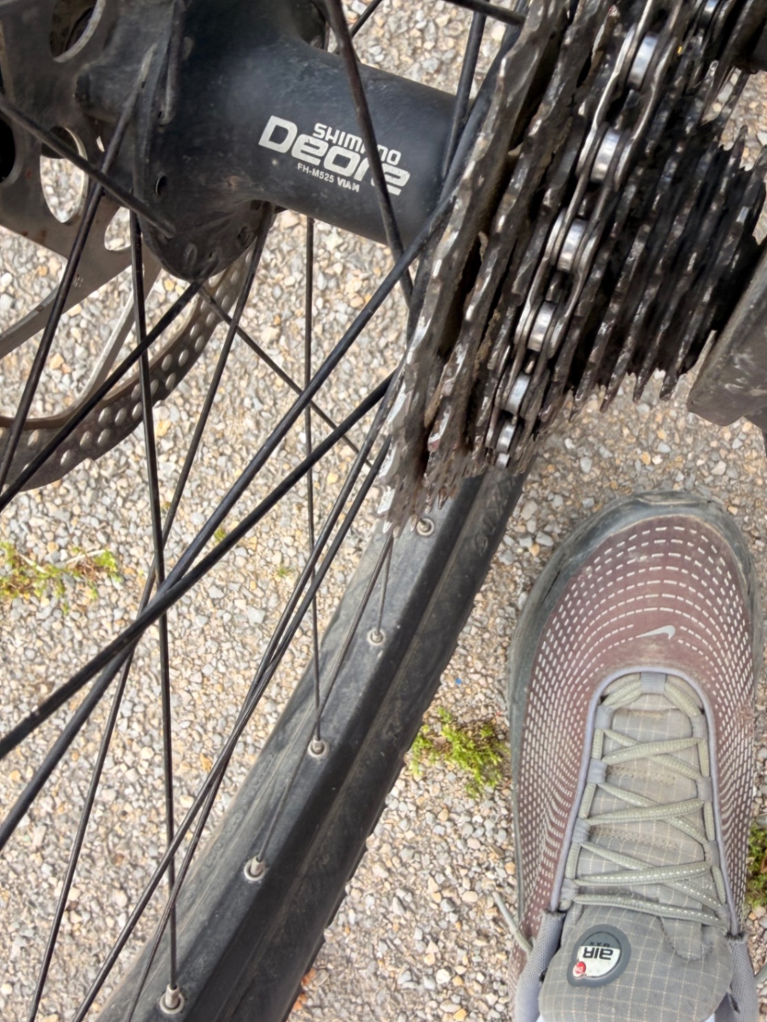 Bike view 2