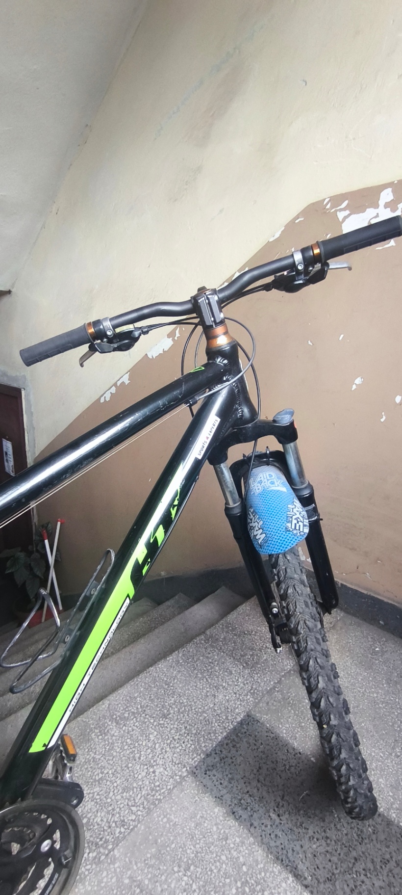 Bike view 10