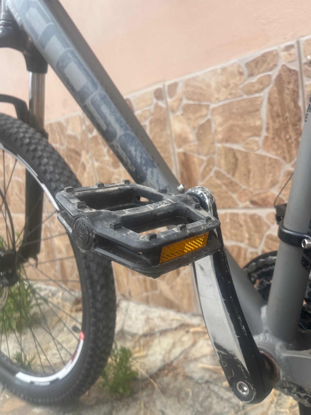 Bike view 9