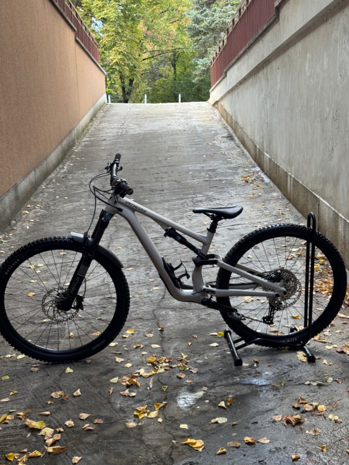 Specialized Stumpjumper Alloy