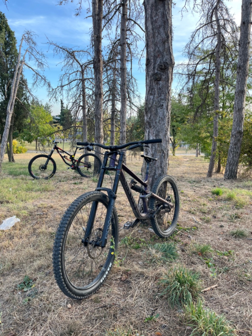 Canyon Torque cllctv
