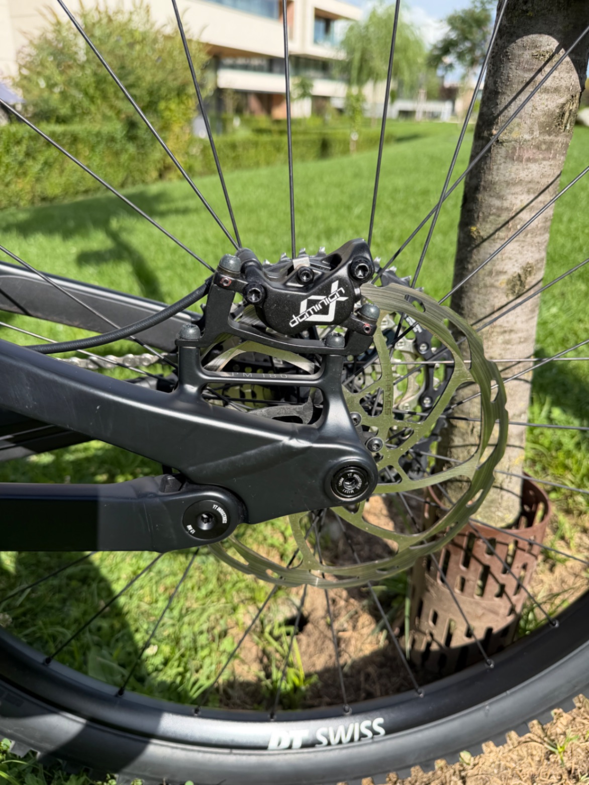 Bike view 8