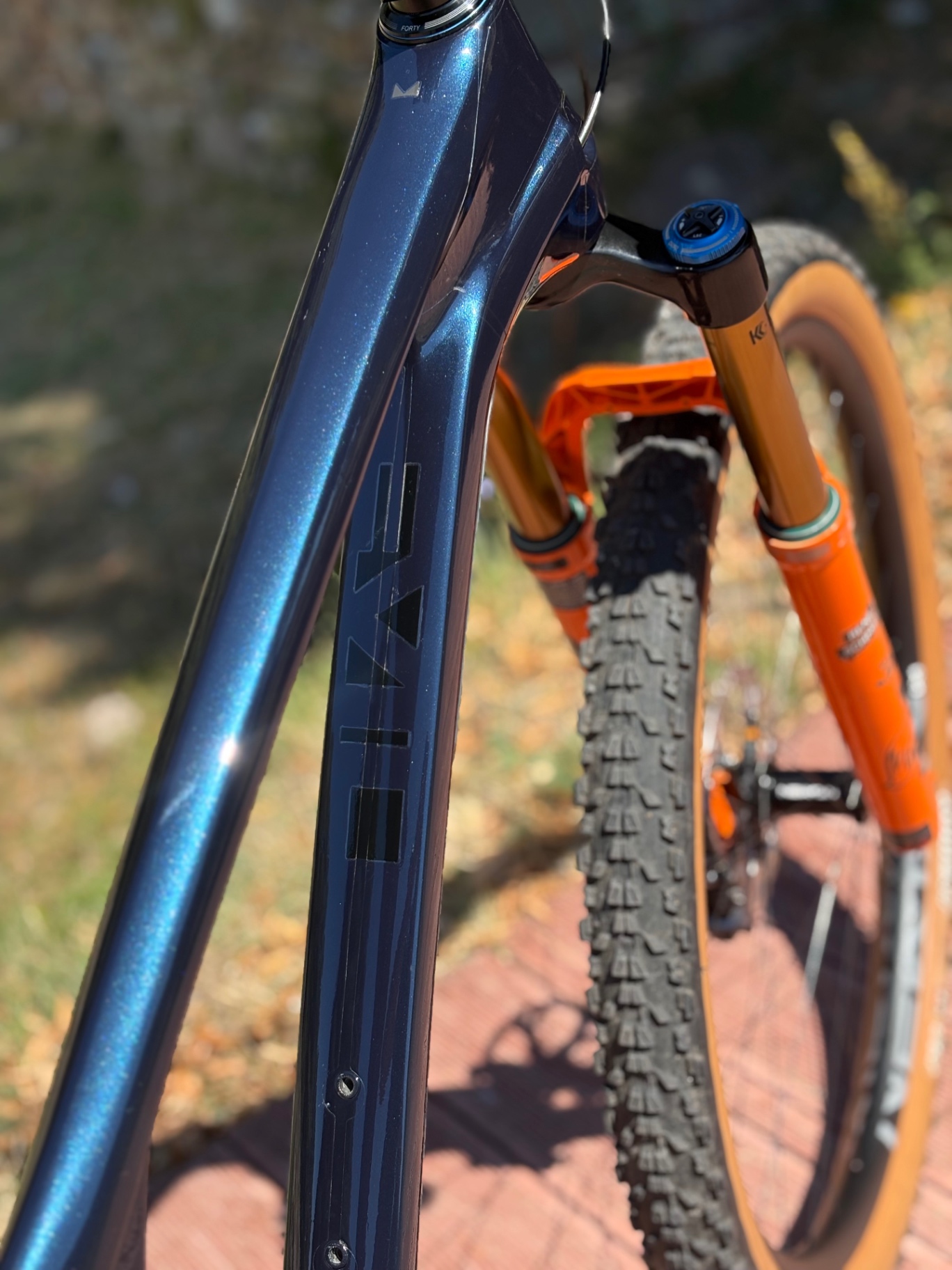 Bike view 10