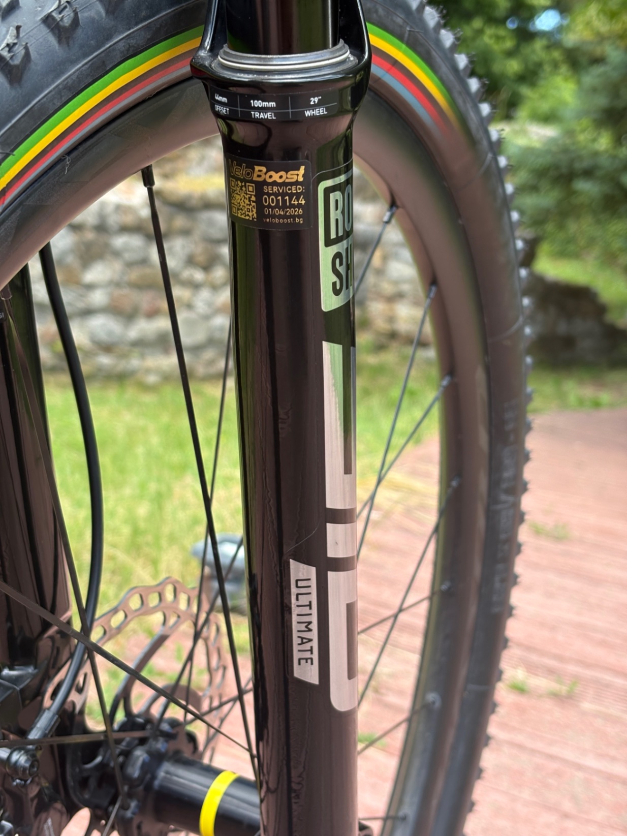 Bike view 9