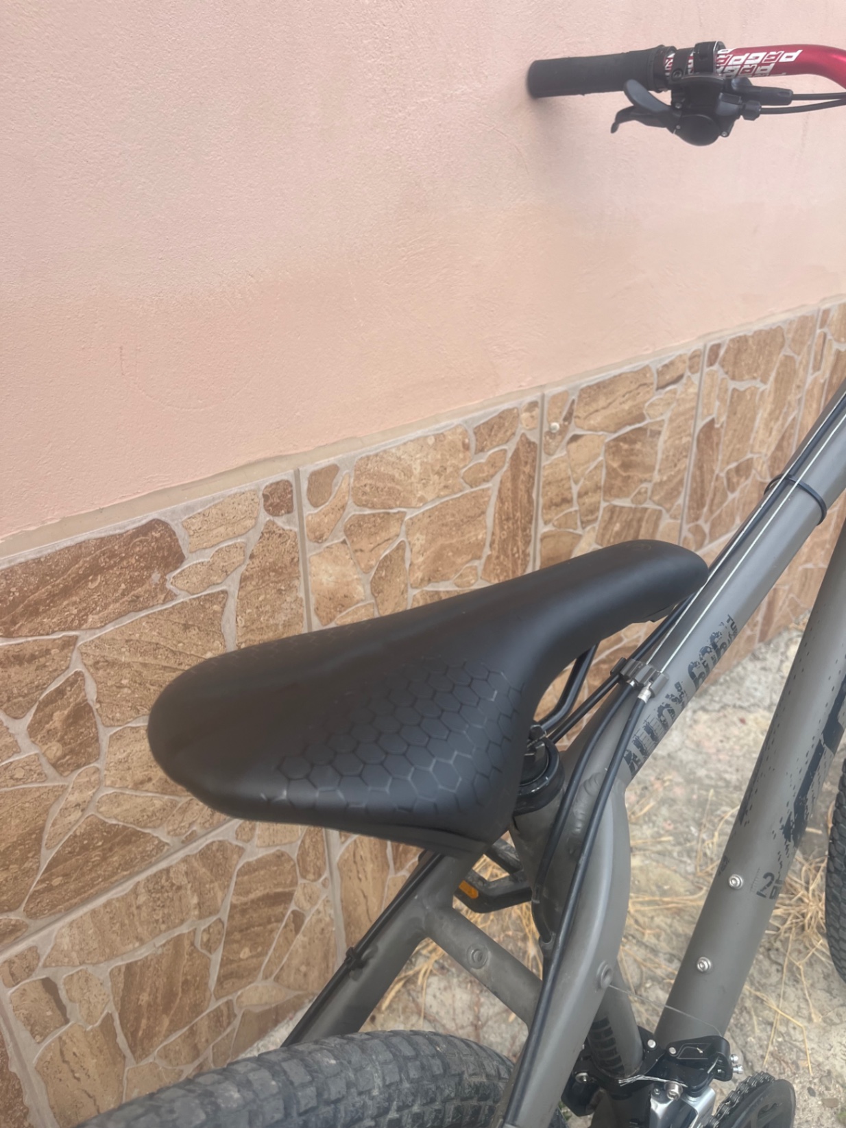 Bike view 5