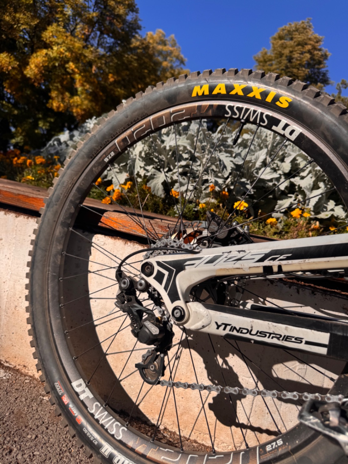 Bike view 2