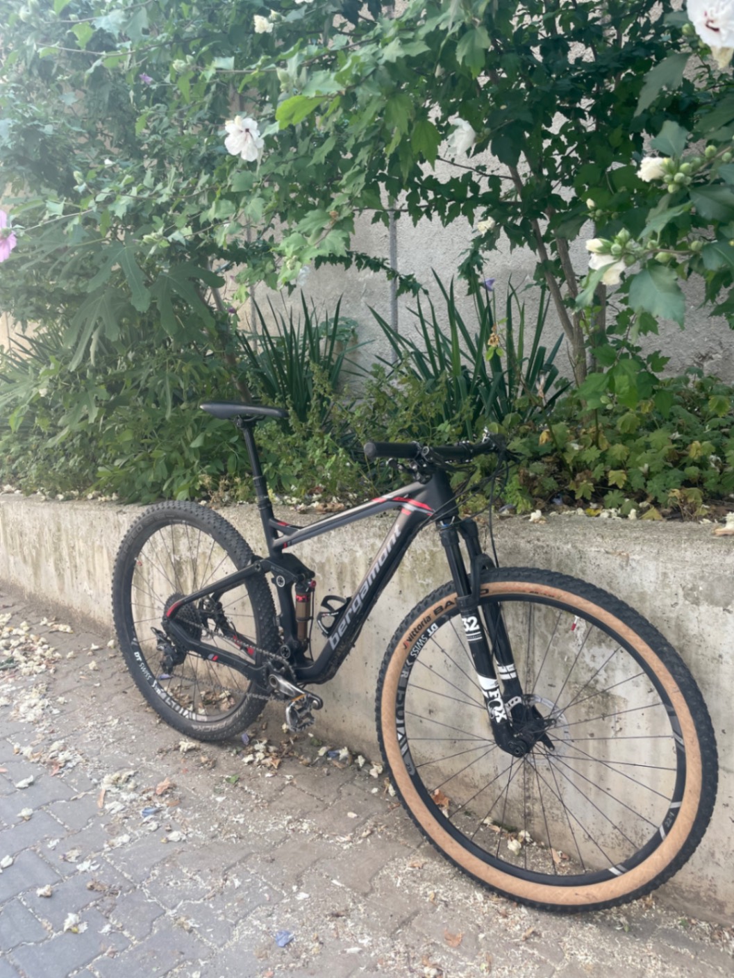 Bike view 11