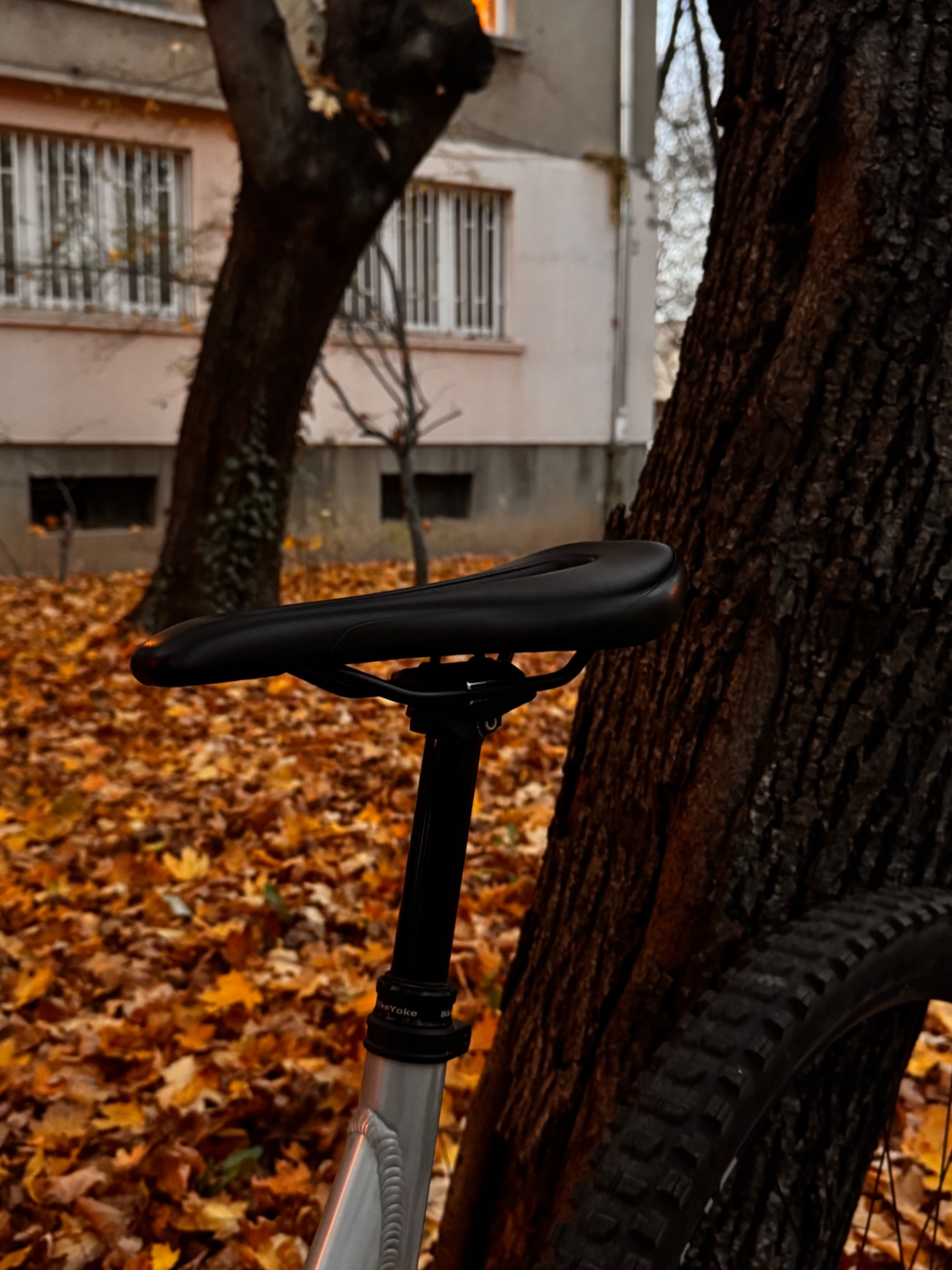 Bike view 9
