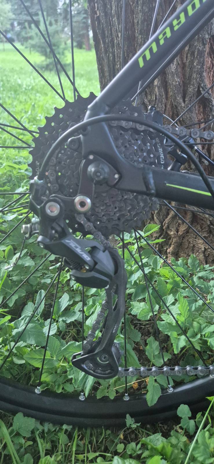 Bike view 6