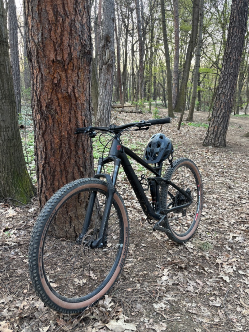 Bike view 5
