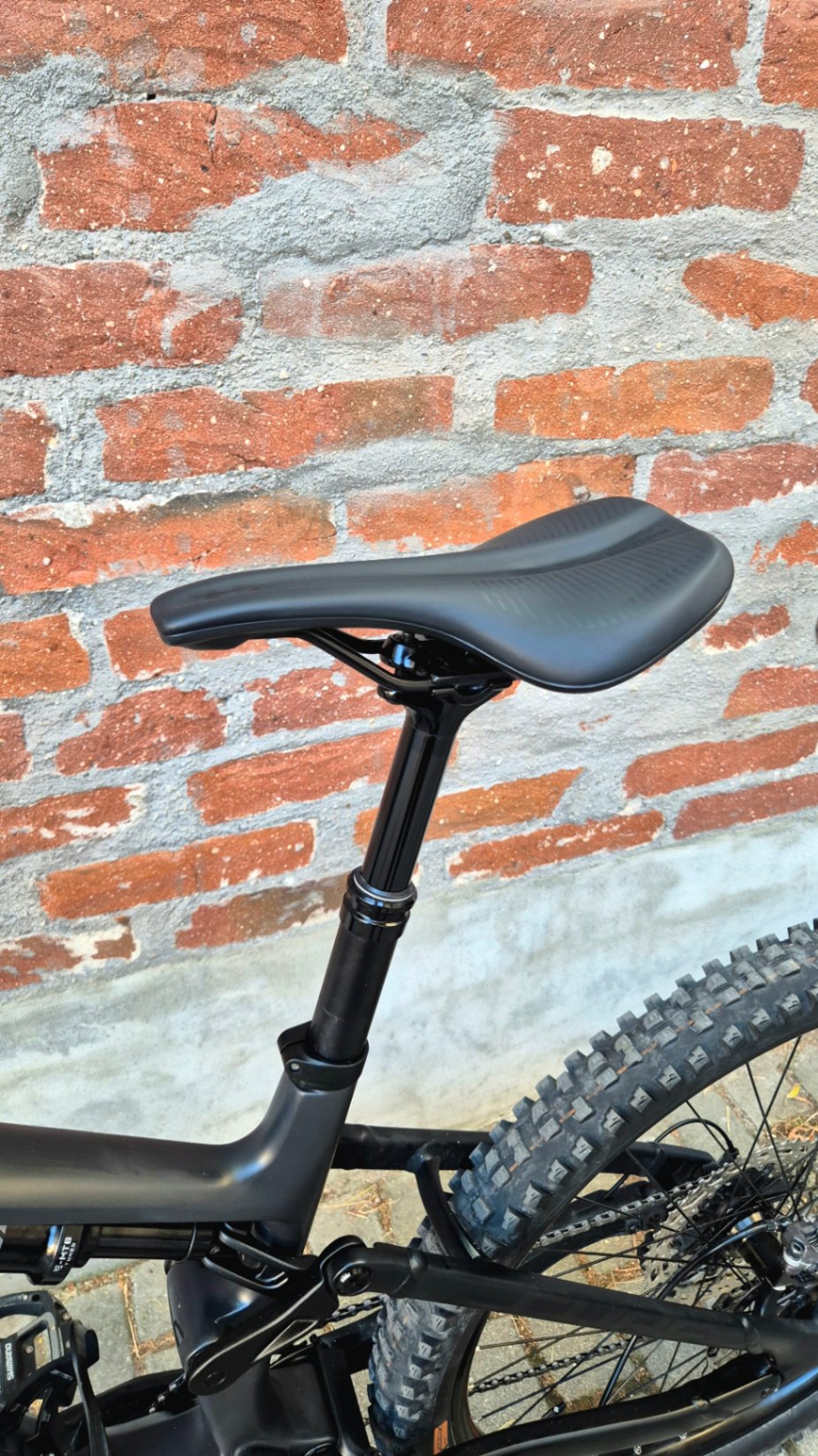 Bike view 11