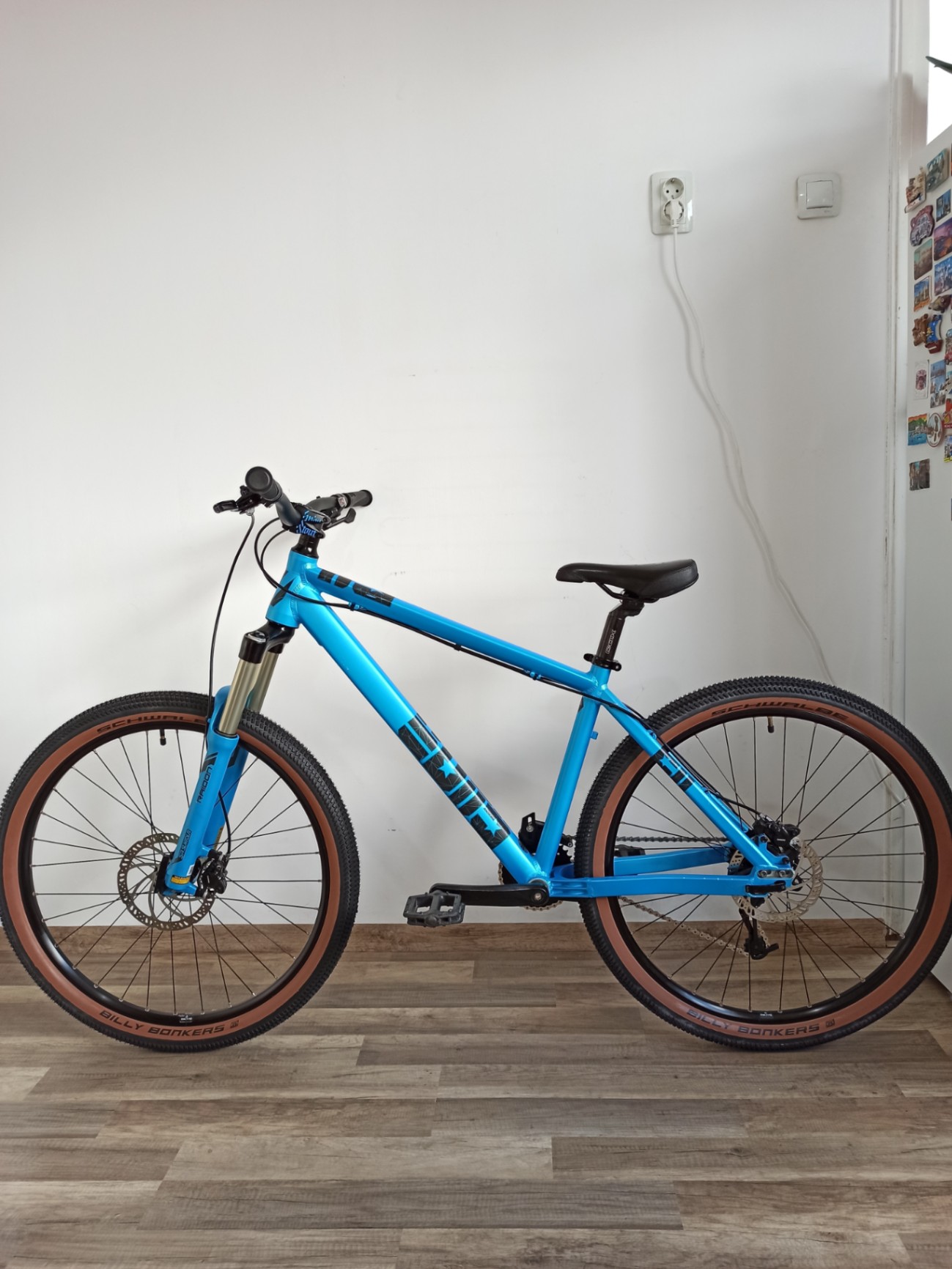 Bike view 9