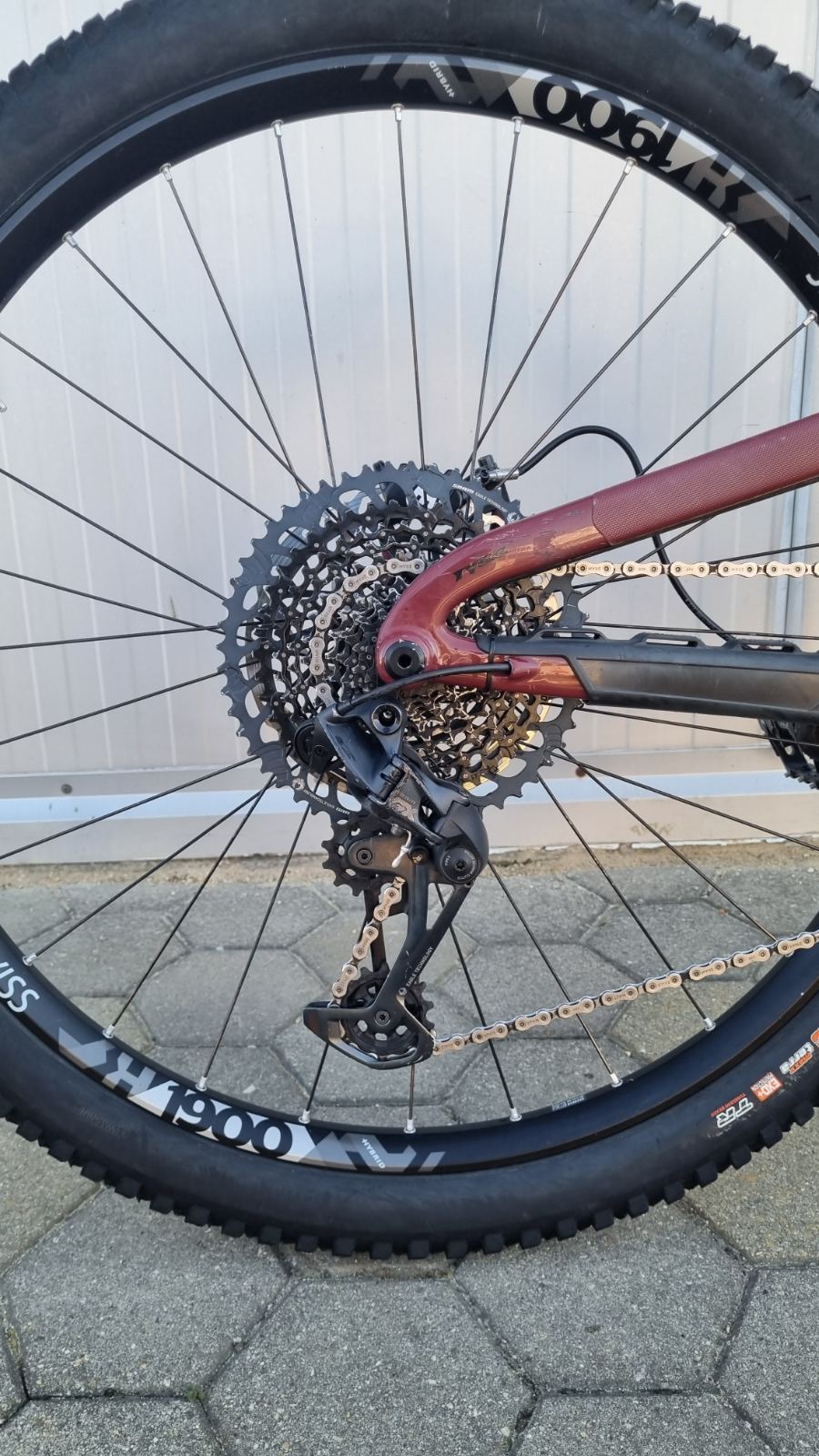 Bike view 8