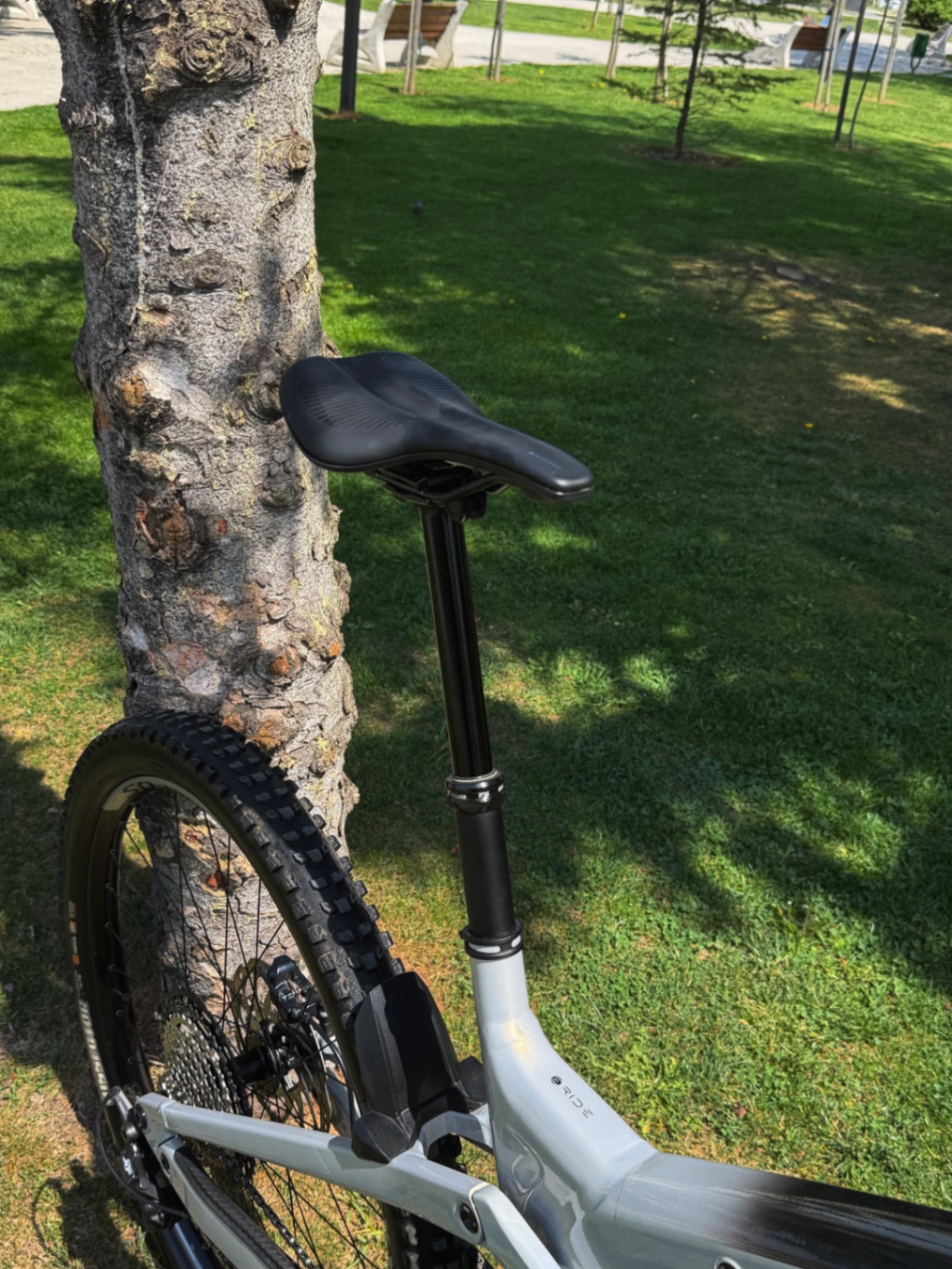 Bike view 10