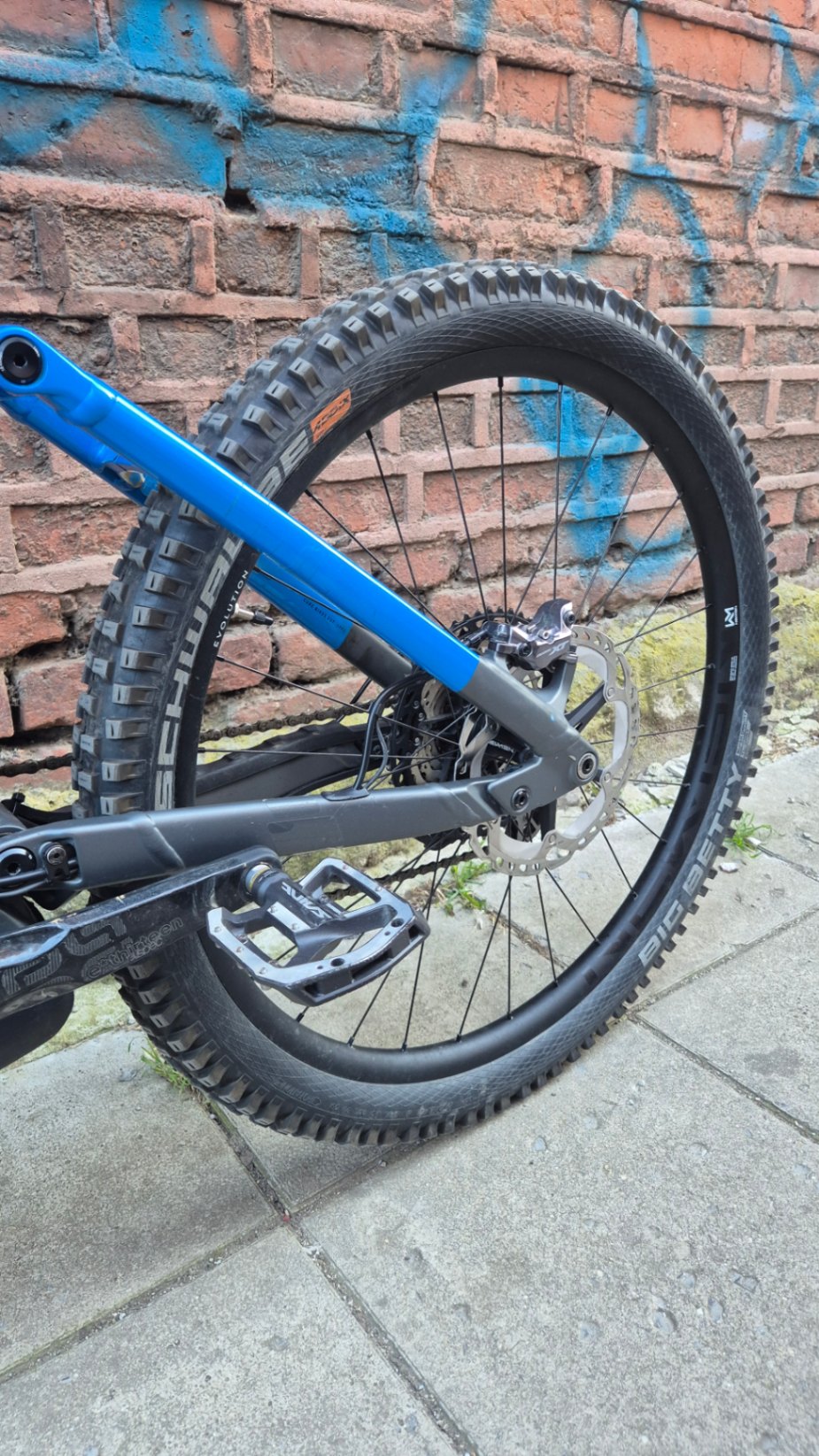 Bike view 12