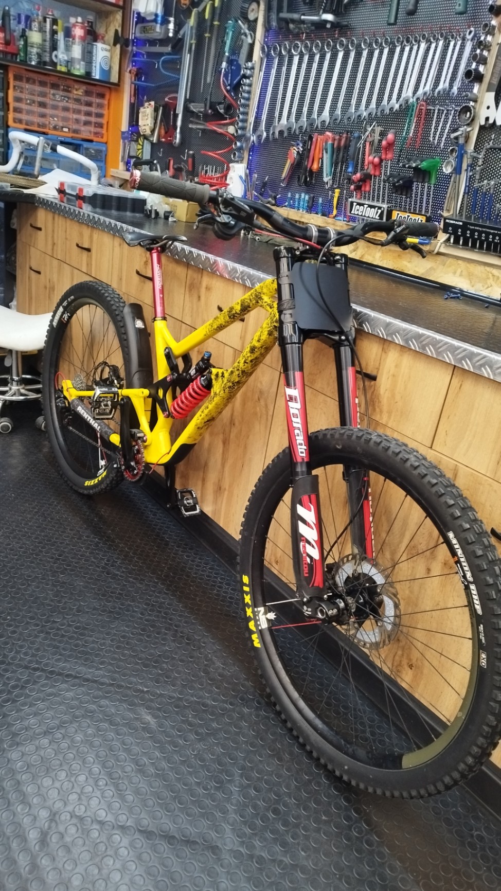 RAM Bikes Downhill custom 
