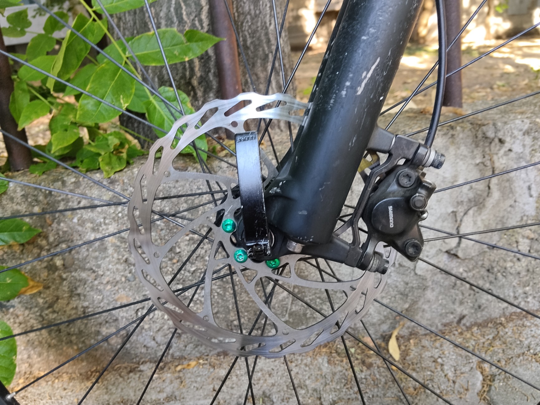 Bike view 11