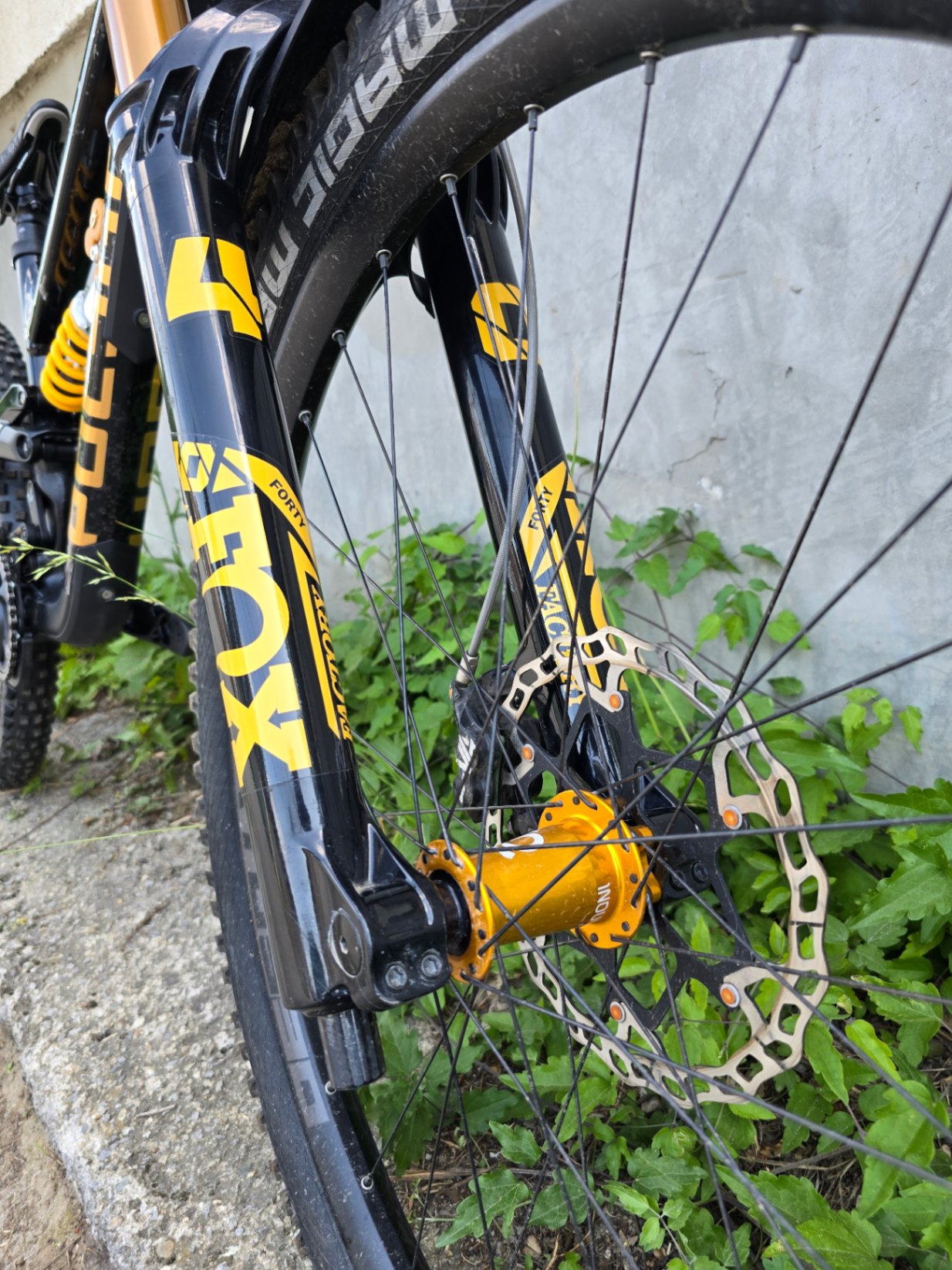 Bike view 11