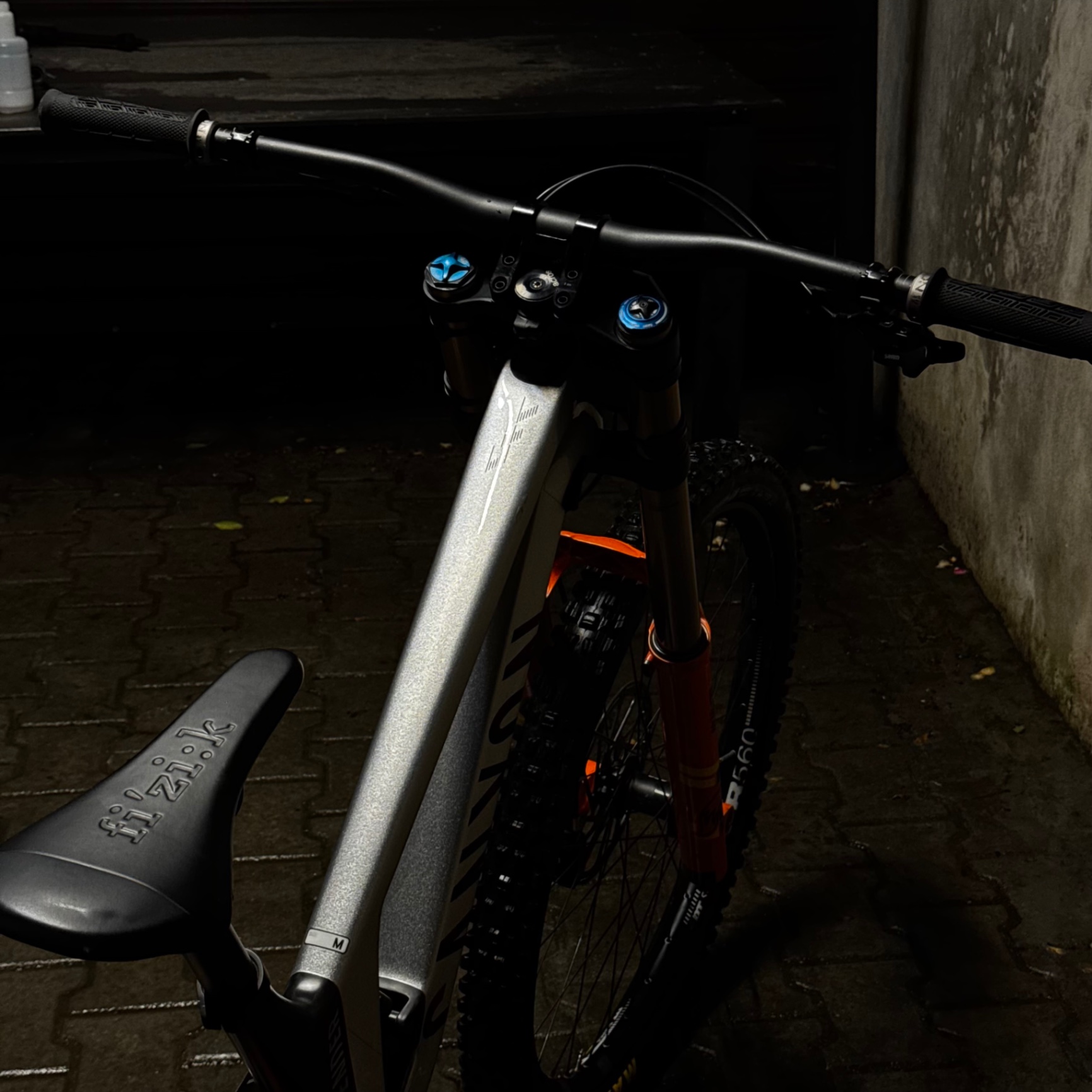 Bike view 10