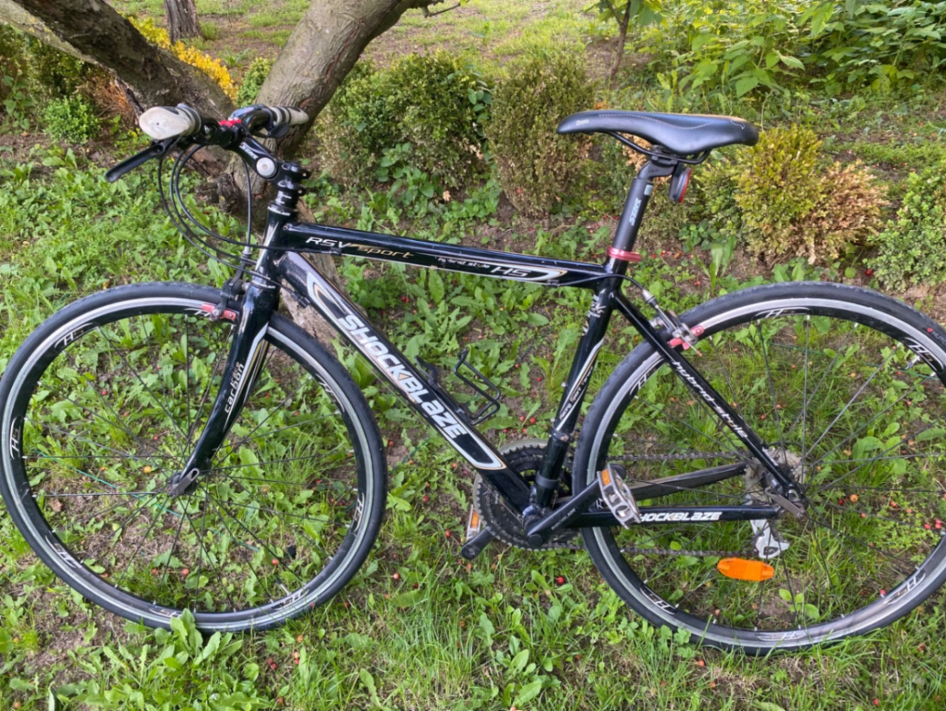 Bike view 6