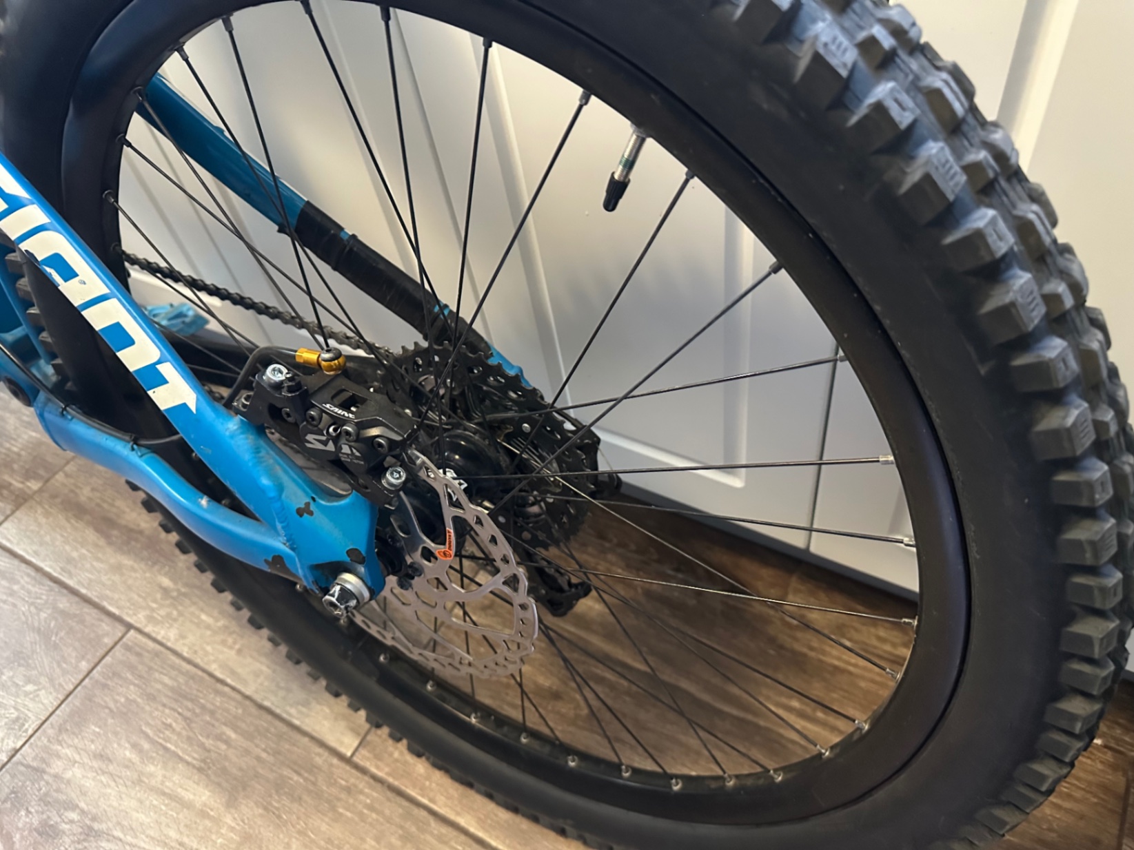 Bike view 6