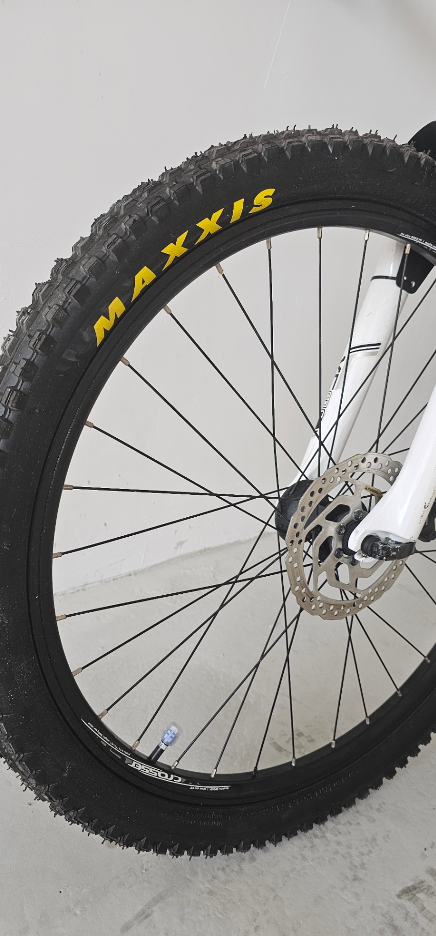 Bike view 6
