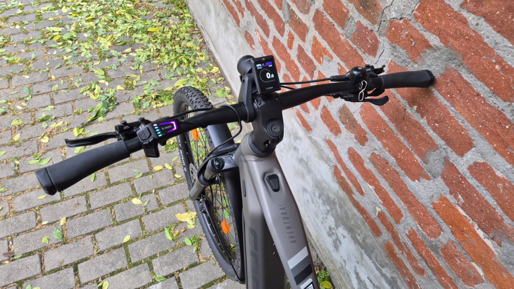 Bike view 12