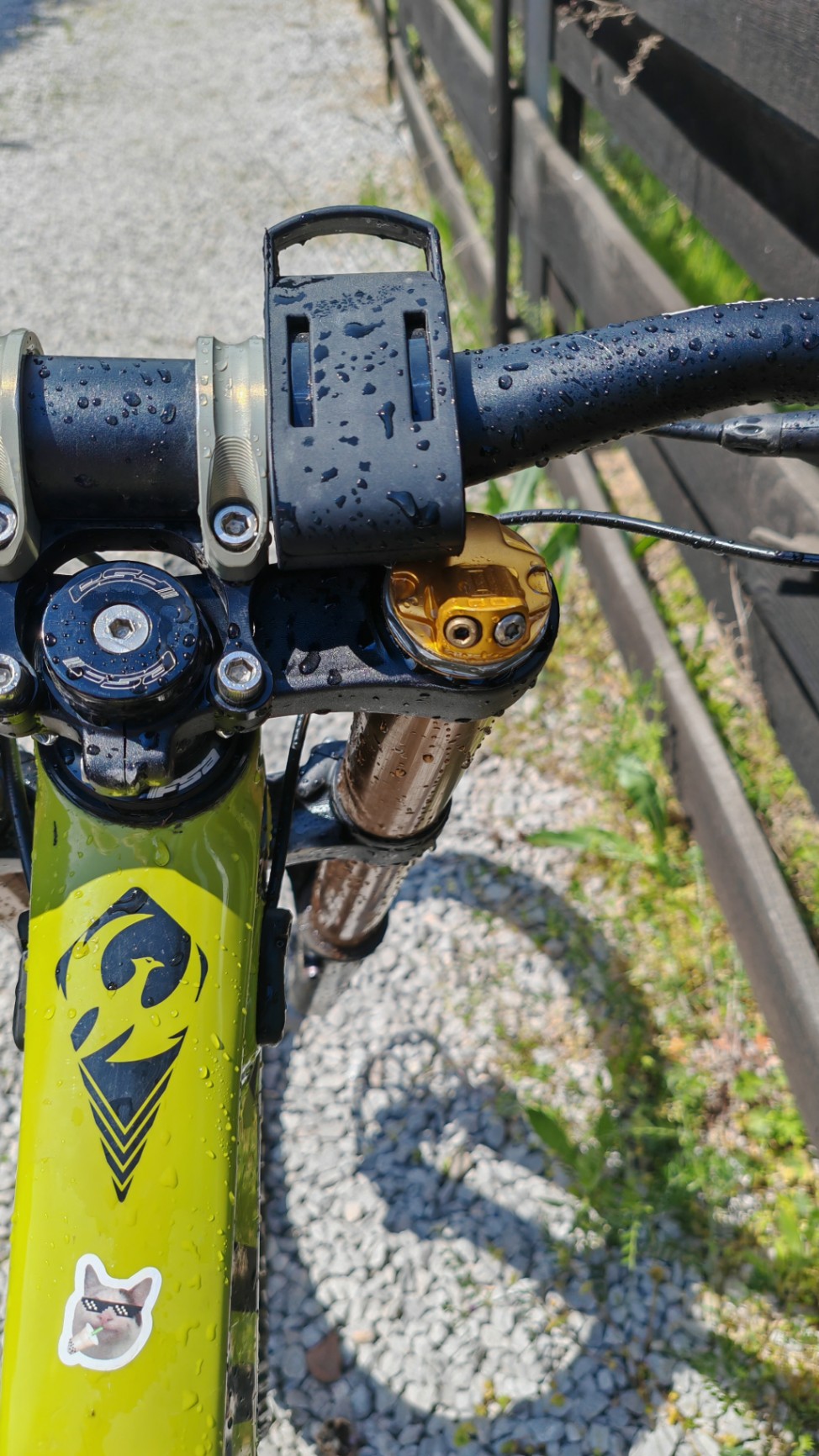 Bike view 11