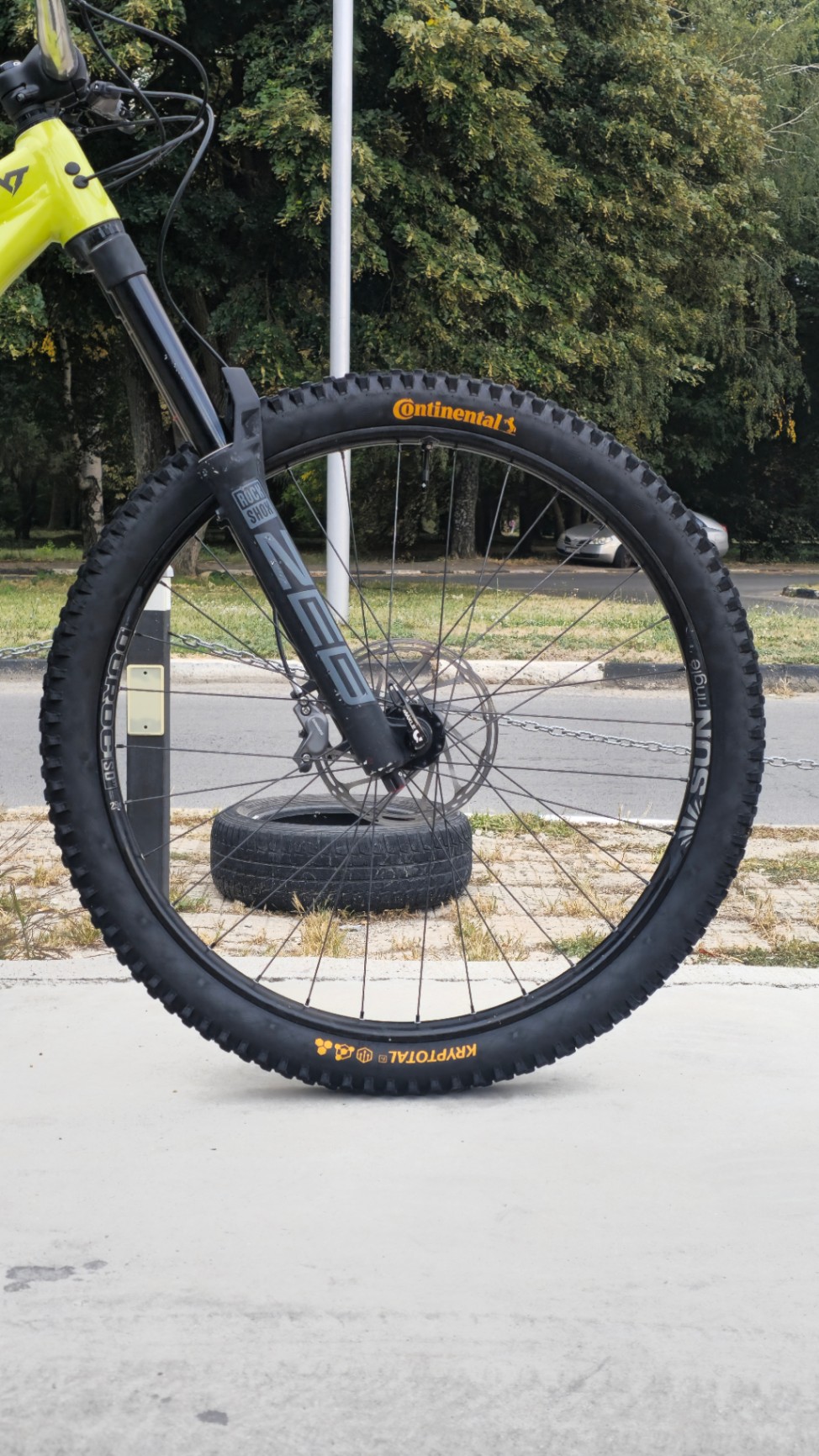 Bike view 8