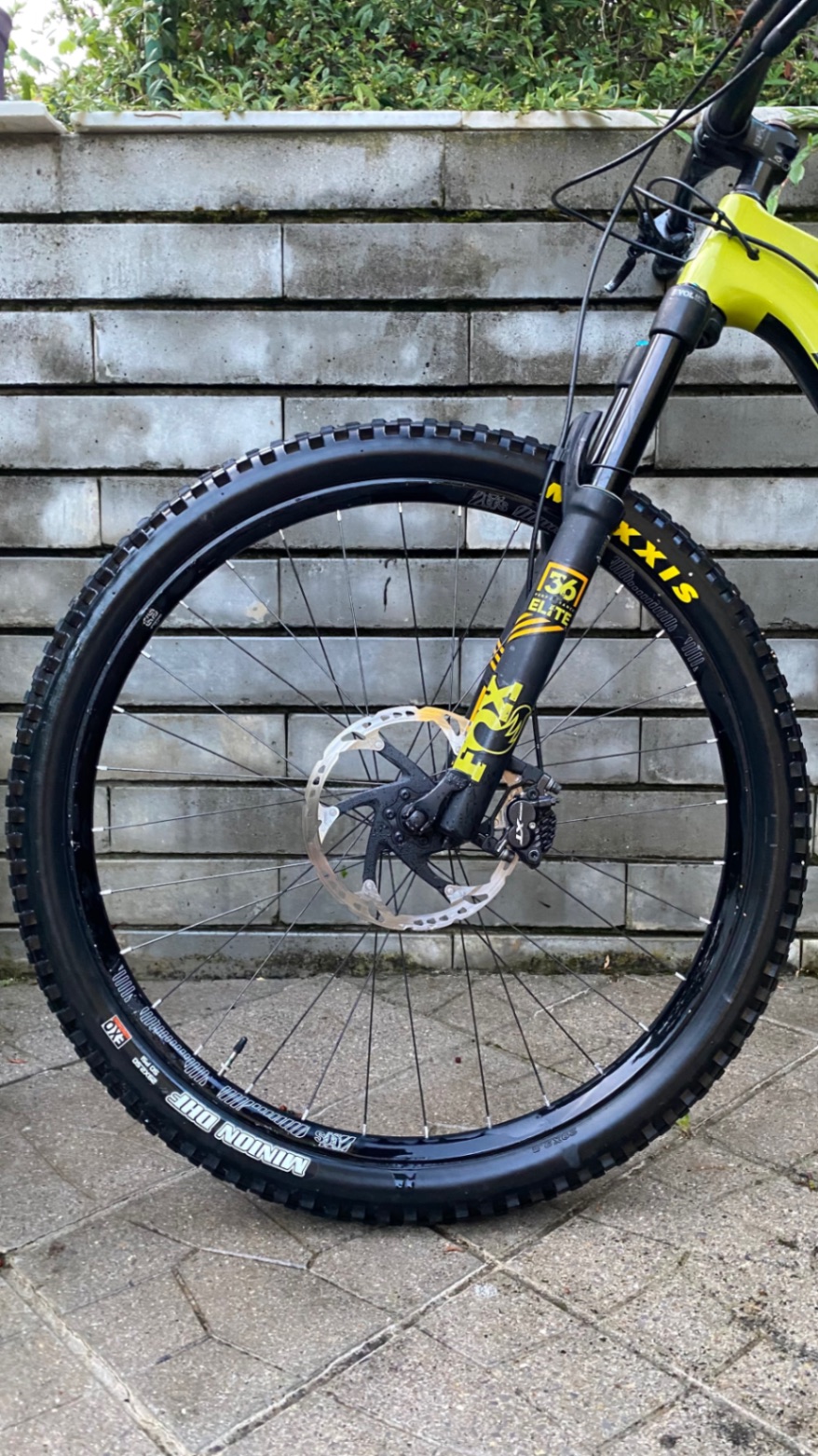 Bike view 12
