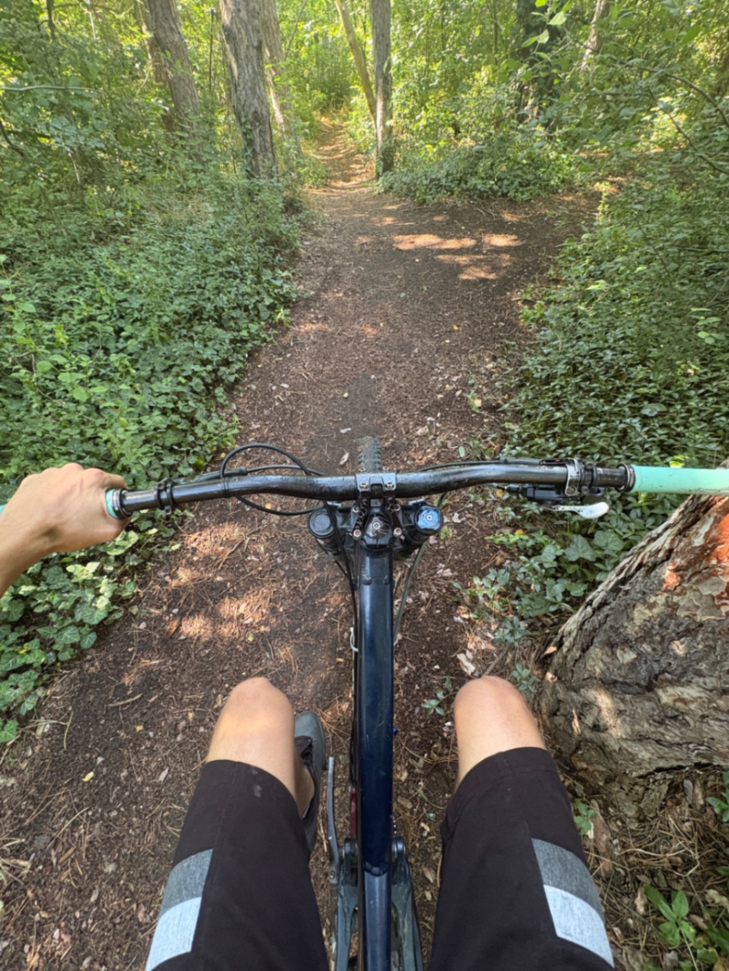 Bike view 5